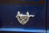 Ford Mustang 45ème anniversaire.DNG-1
